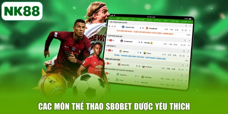 Các môn thể thao sbobet được yêu thích